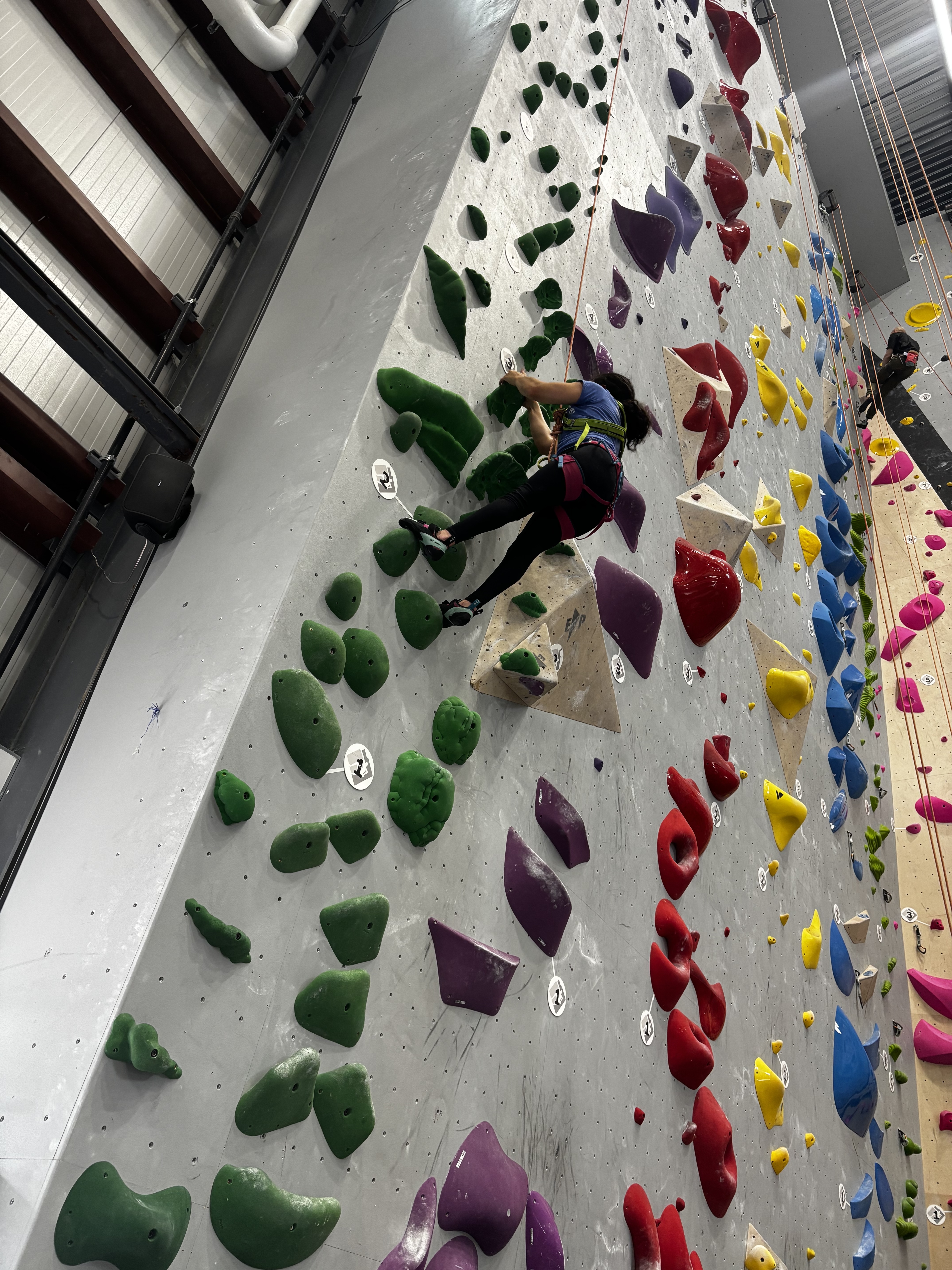 Kate is climbing on a green route. She has two hands on a hold labled with a USA Climbing circle with the number 3 in it. She has her left foot just below the 2 USA Climbing circle, and her right foot on a hold just below that.