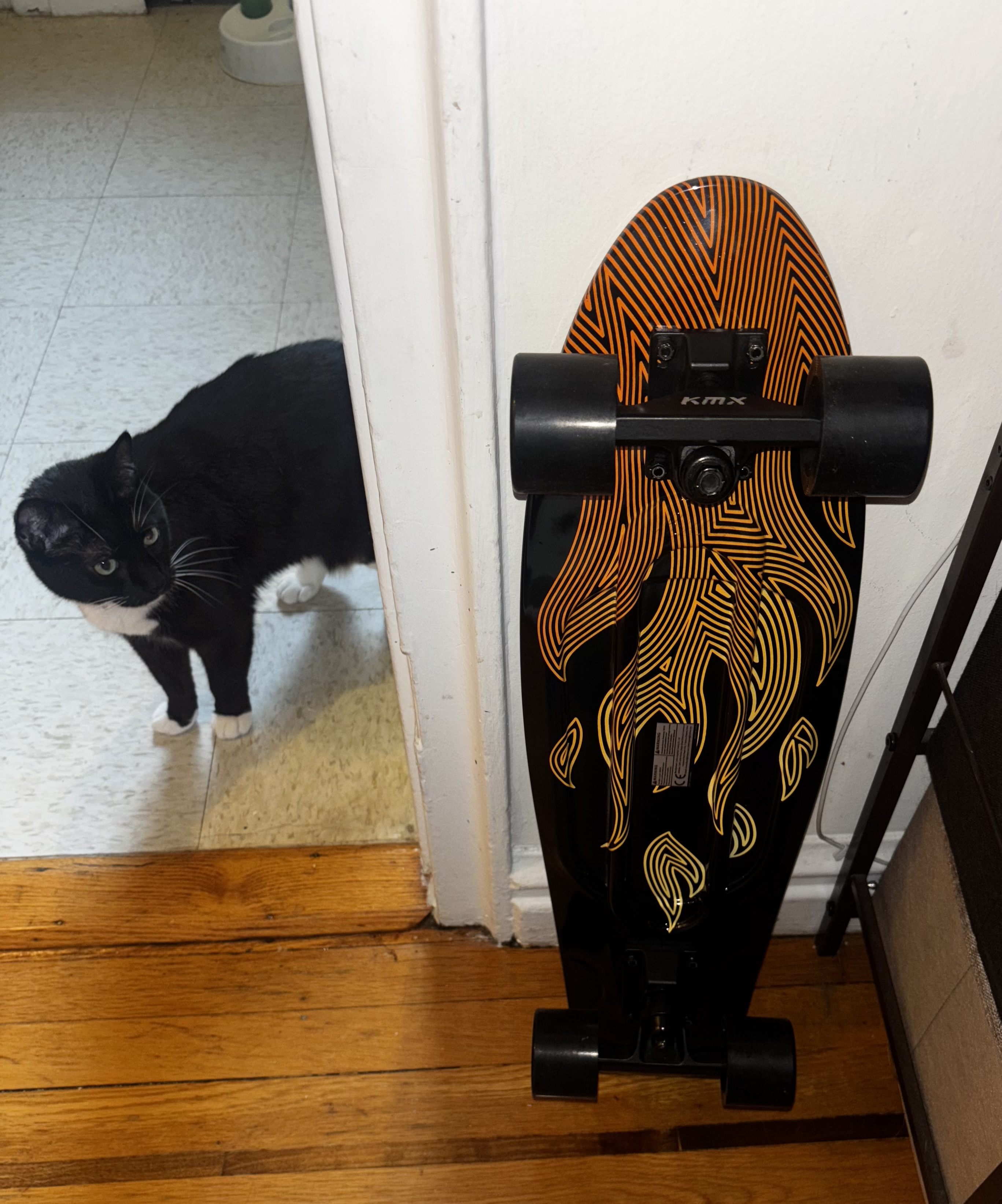 Photo of a small-ish black skateboard that is round with a point at the top and slims down at the bottom. The skateboard is leaning against a wall with the wheel side showing. The underside of the skateboard is shiny and has a fire design on it. My tuxedo cat, Rygel, is on the left looking at the skateboard.